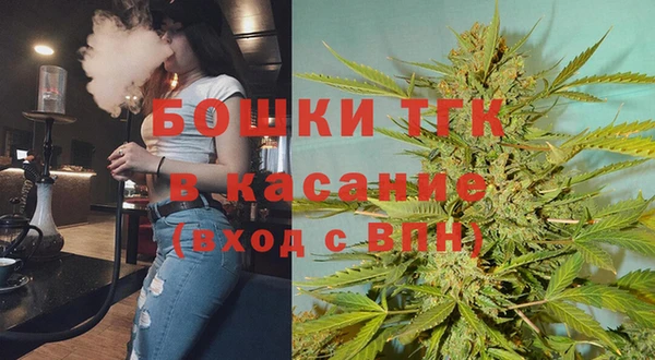 гидра Магас
