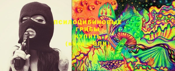 гидра Магас