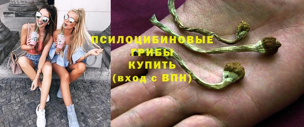 ПСИЛОЦИБИНОВЫЕ ГРИБЫ Магадан